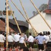 Maibaum 2013